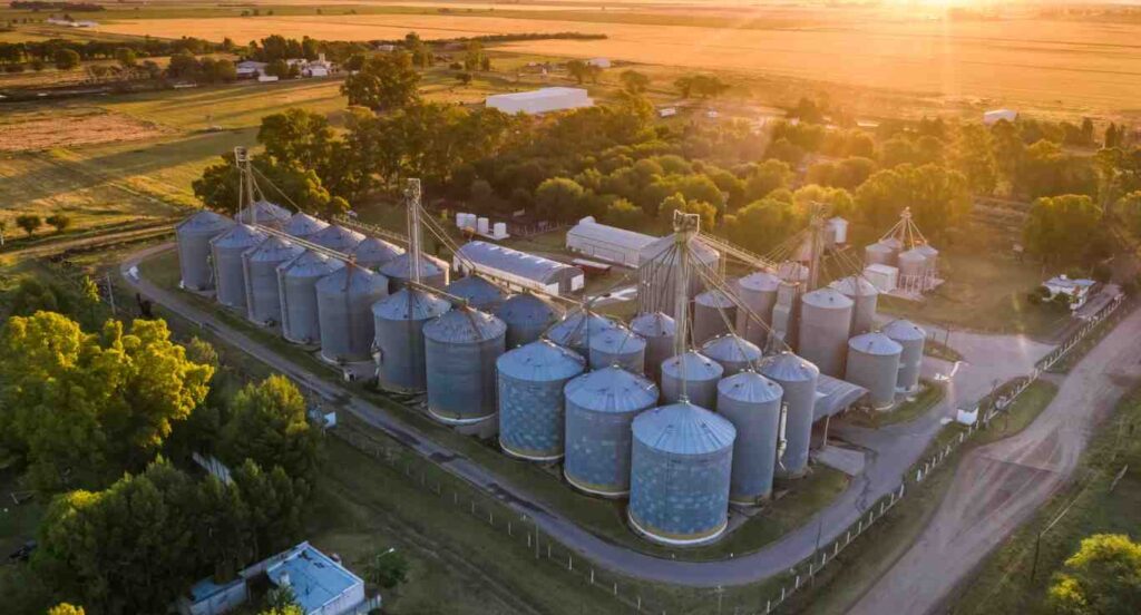 Revolucionando a Agricultura por Meio de Soluções Impulsionadas pela Inteligência Artificial: Inovações e Desenvolvimentos em Caxias