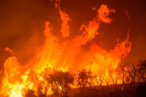 Pantanal-fogo-recorde-focos-calor-bioma-devastado