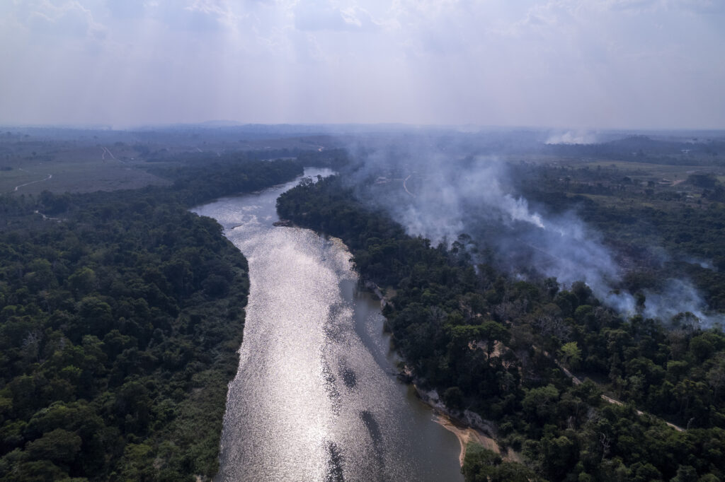 Imagem de 2023 mostra a Floresta Nacional do Jamanxim em chamas, próximo a BR-163 (Foto: Fernando Martinho/Repórter Brasil)