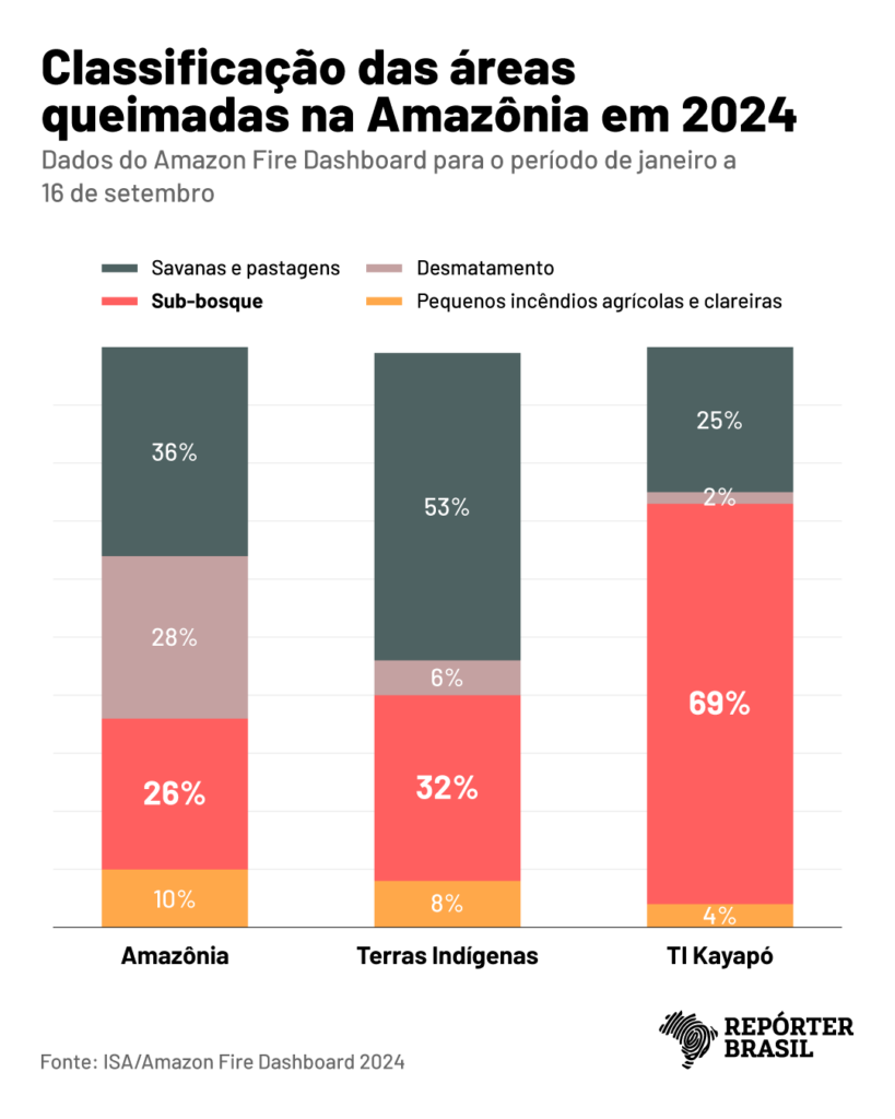 Gráfico: Rodrigo Bento/Repórter Brasil